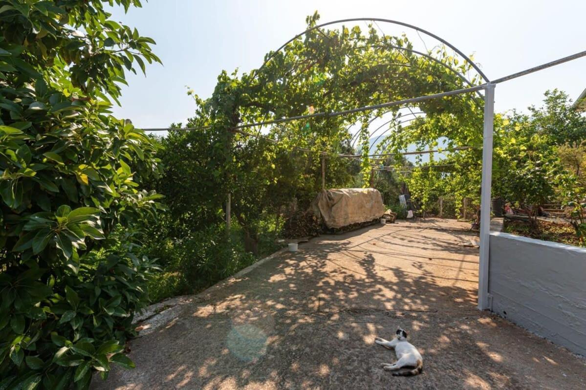 Serene Seaside Bliss - Lush & Secluded Garden Oasis Kalamata Zewnętrze zdjęcie